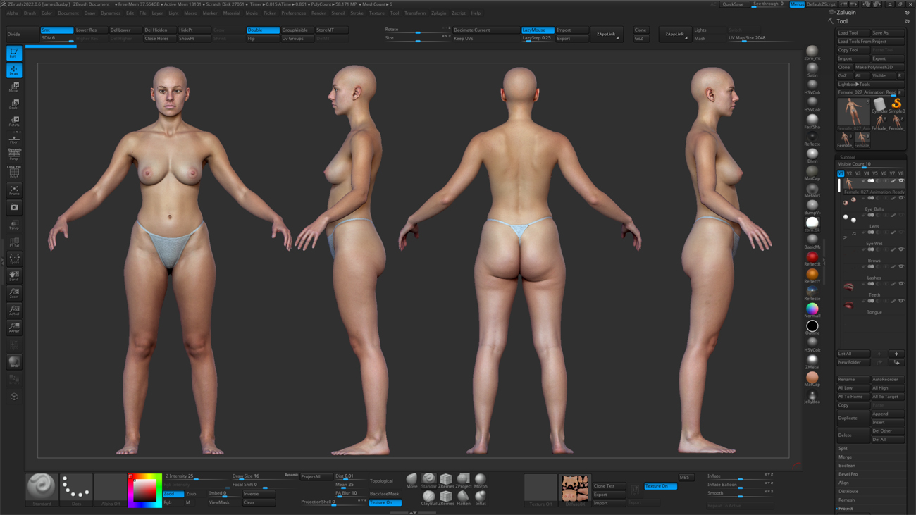 ZBrush ZTool render of a female 3D body scan at high subdivision level showing sculpt-ready geometry